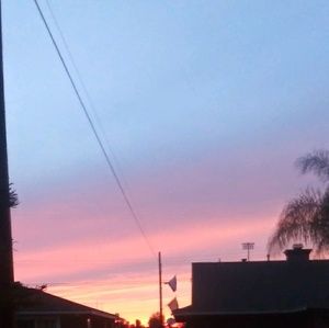 Meet your Posher, Juju